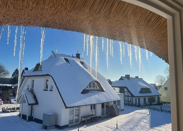 Wreechen Mit Dachterrasse بوتبوس